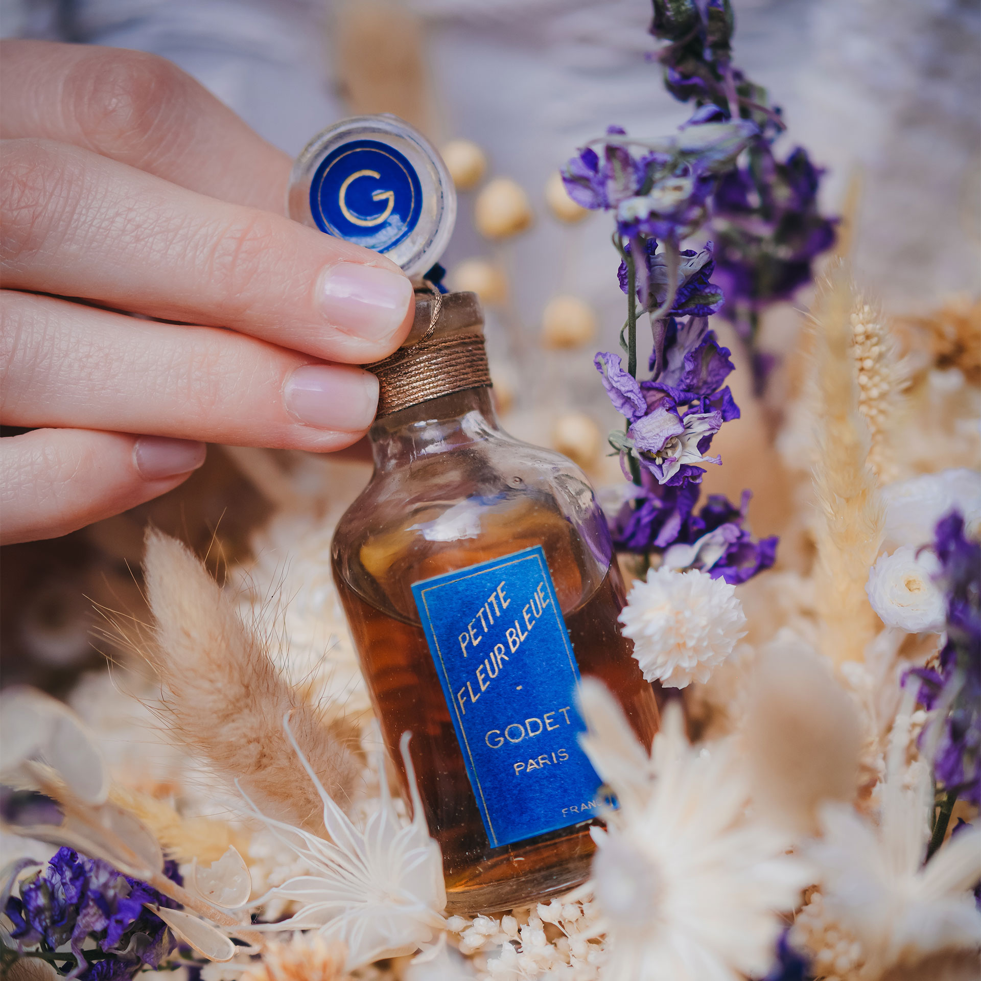 Petite fleur bleue – Image 2