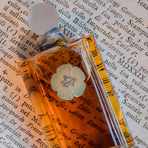 Petite fleur bleue – Image 4