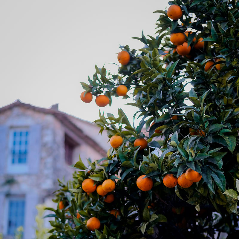 Voyage à Saint-Paul – Image 3