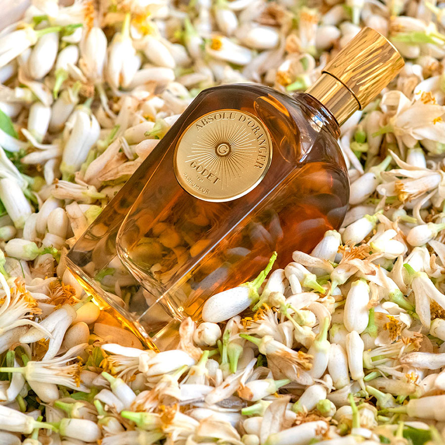 Absolu d’oranger – Image 6