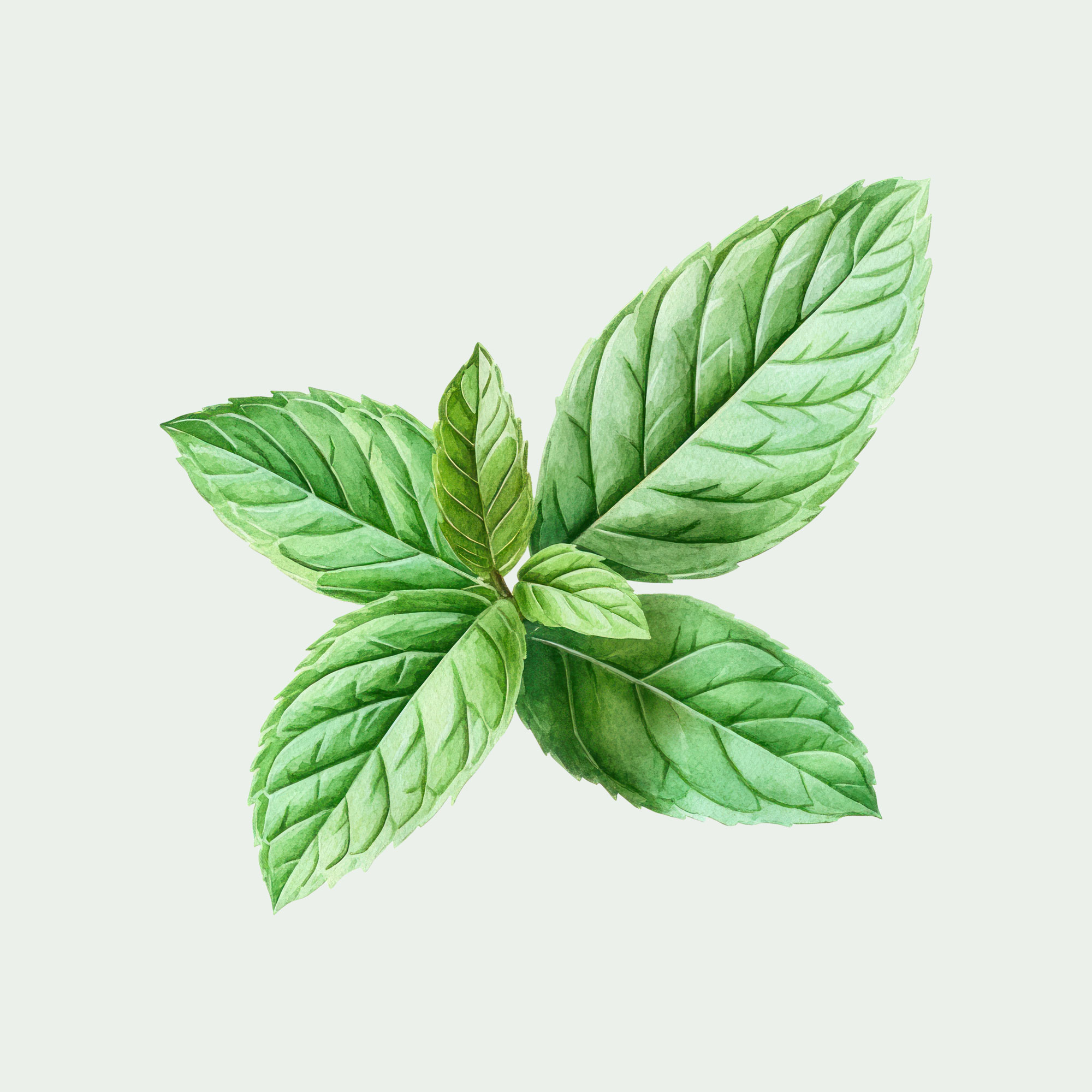 Joie de vie – Image 4