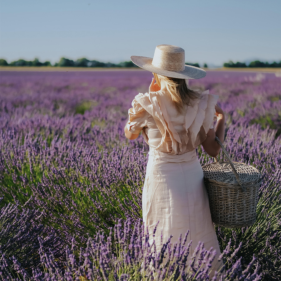 Calme & Volupté – Image 2