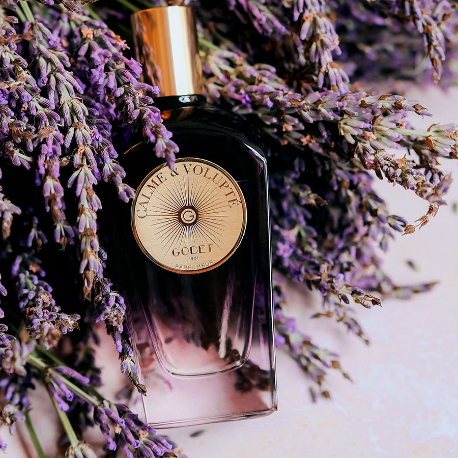 Calme & Volupté – Image 3