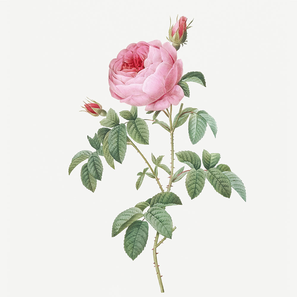 Empire des Sens – Image 2